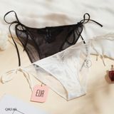  Sheer Mesh Panties Q8246 