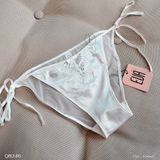  Sheer Mesh Panties Q8246 