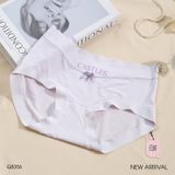  Cotton panties Q8356 