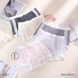  Quần boxer Q8377 