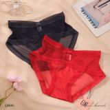  Hipster Panties Q895 