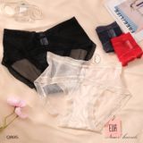  Hipster Panties Q895 