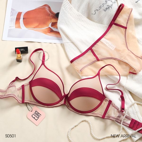  Set phối màu S0501 