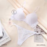  Set ren S130024 