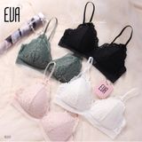  Set ren S22 
