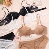  Non Padding Bra Set S289 