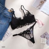  Set ren hoa S3081 