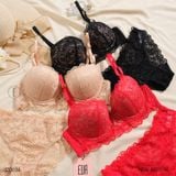  Set ren S33034 