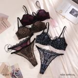 Set mỏng S5566 