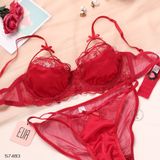  Lace Bra Set Without Padding S7483 