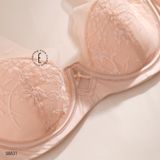  Set ren S8831 
