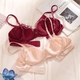  Set ren S8831 