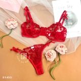  Non Padding Bra Set S1455 