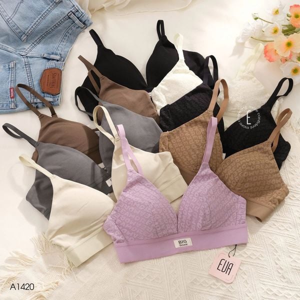  Áo Big Dream không gọng A1420 