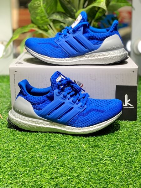  FX7973 Ultra Boost 5.0 DNA NASA Blue 