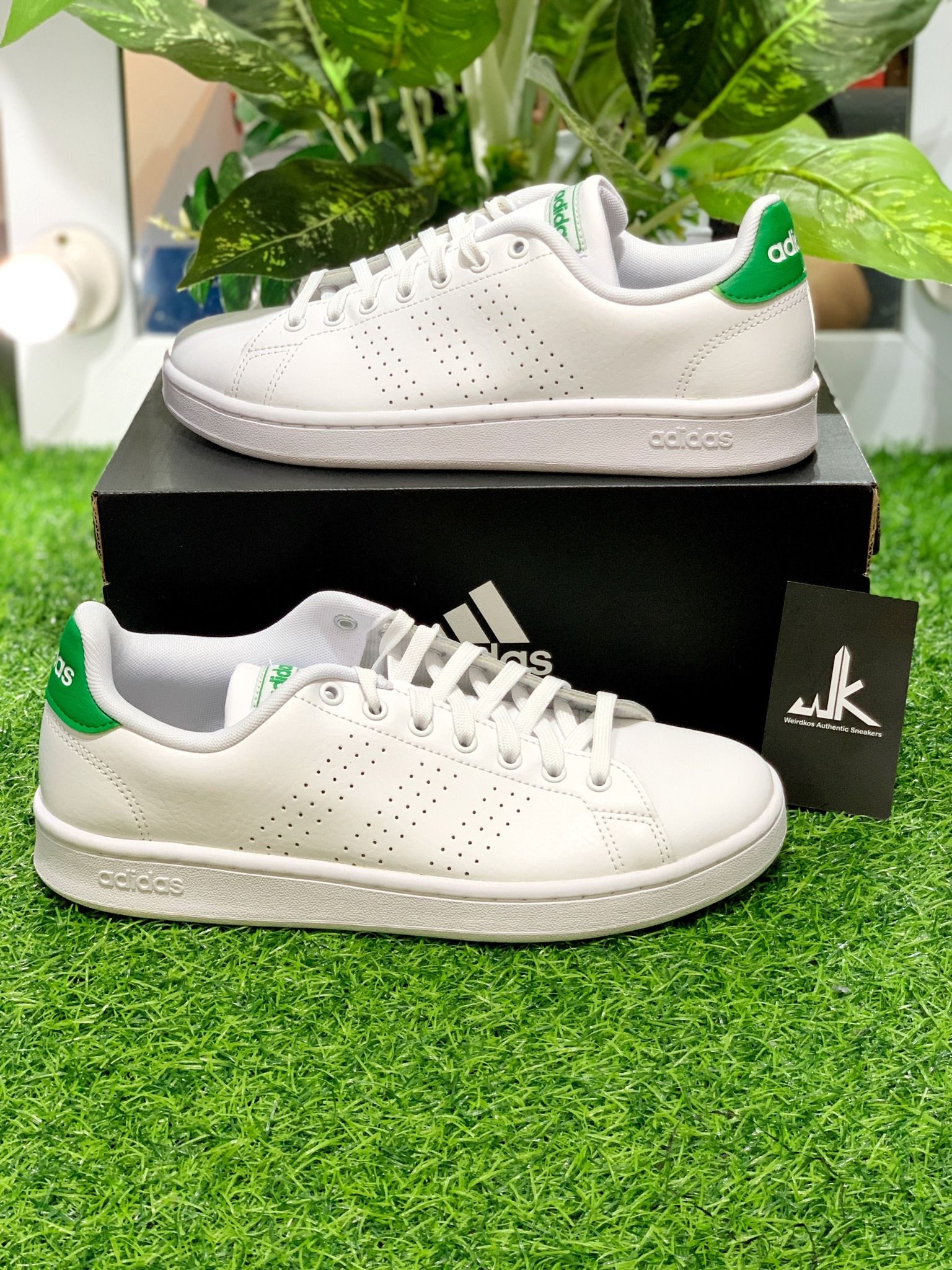 F36424 advantage new arrivals