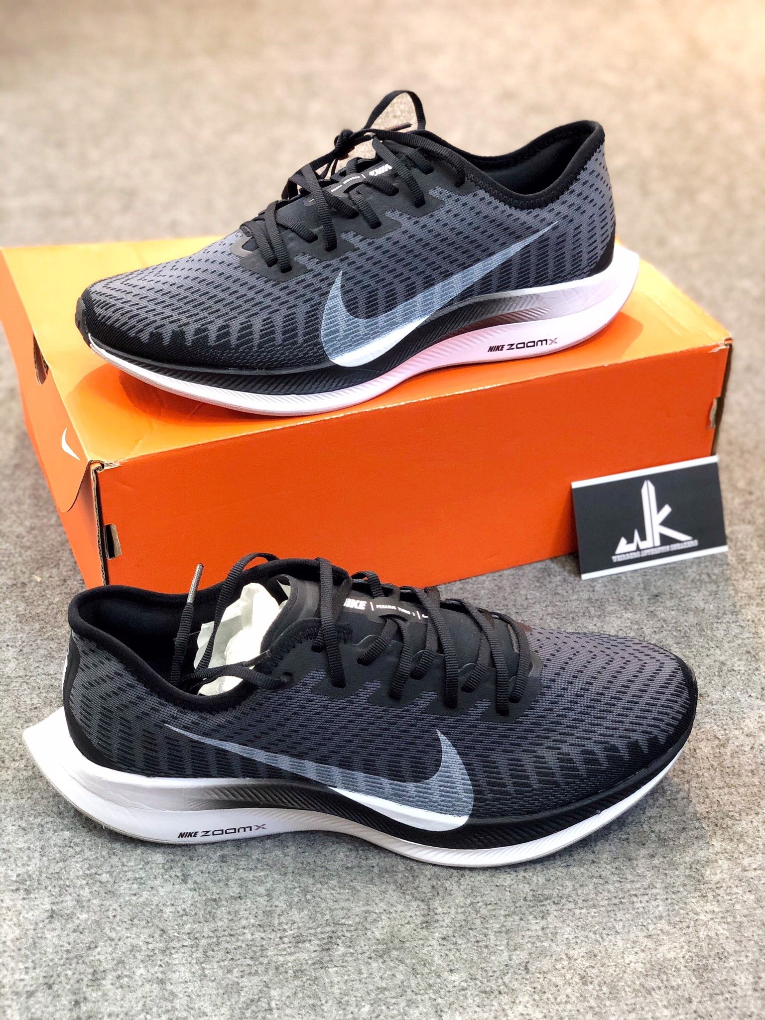 zoom pegasus 1