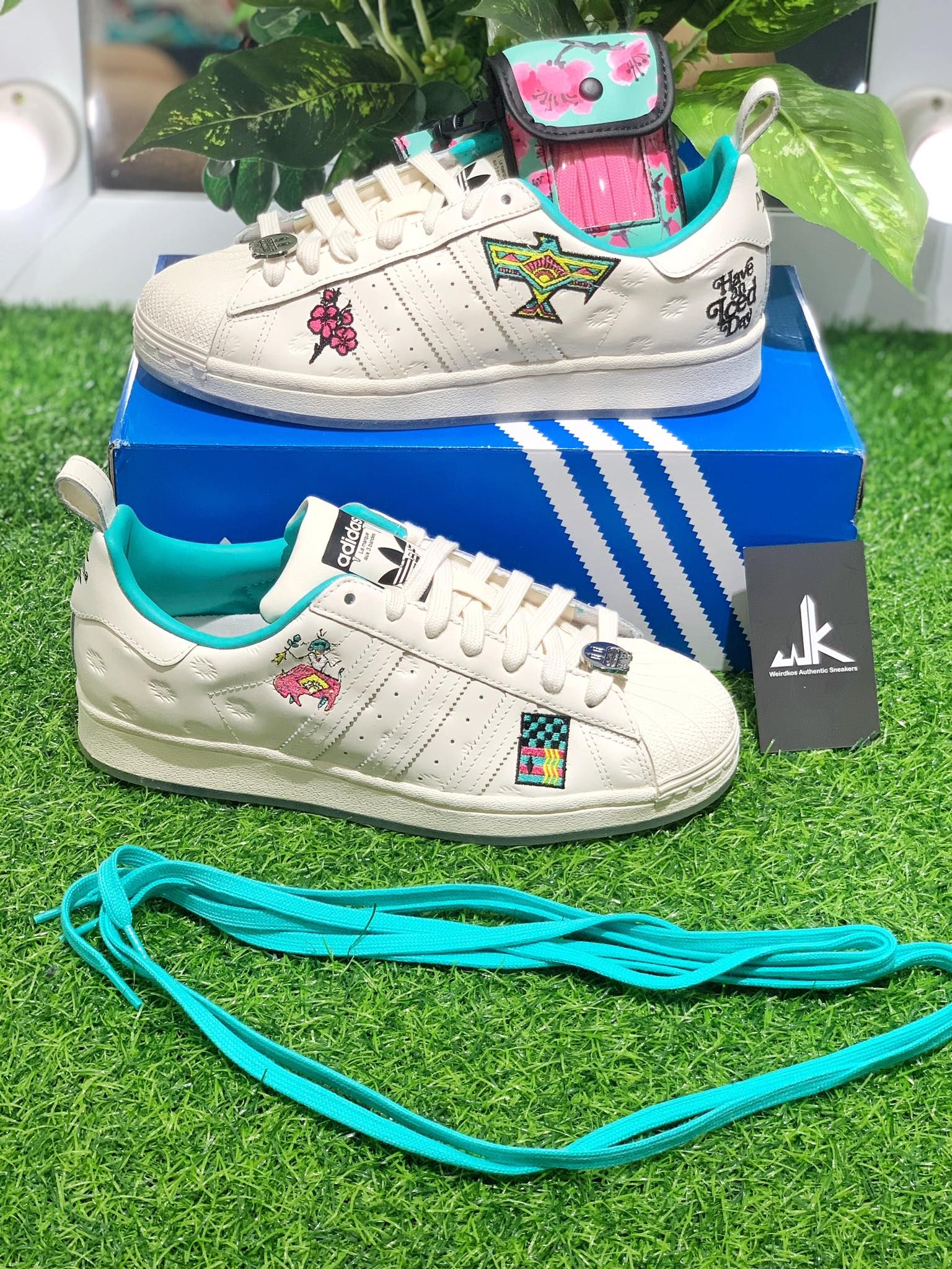  GZ2874 Superstar Arizona White 