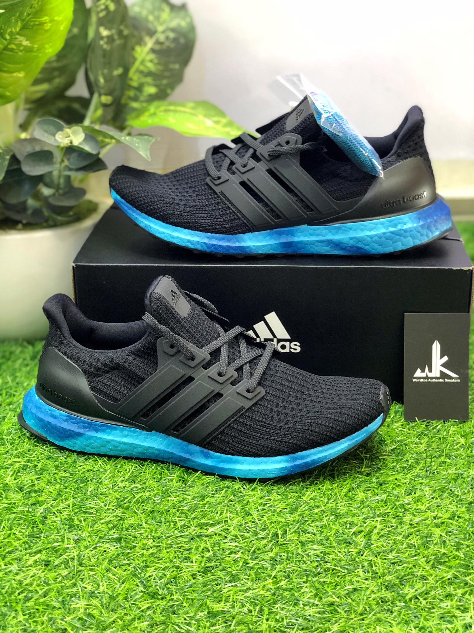 Giày ultra top boost rainbow