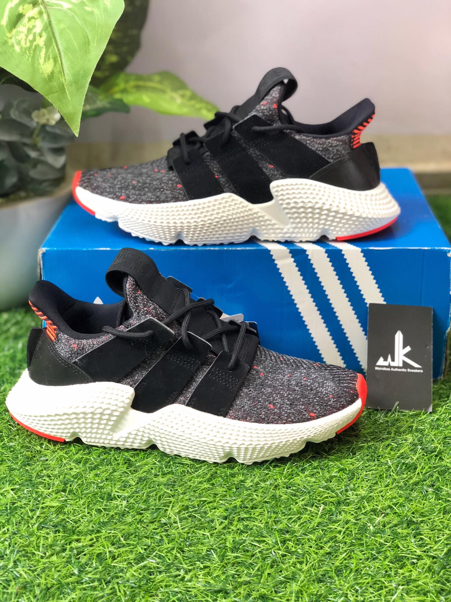  AC8509 Prophere OG 