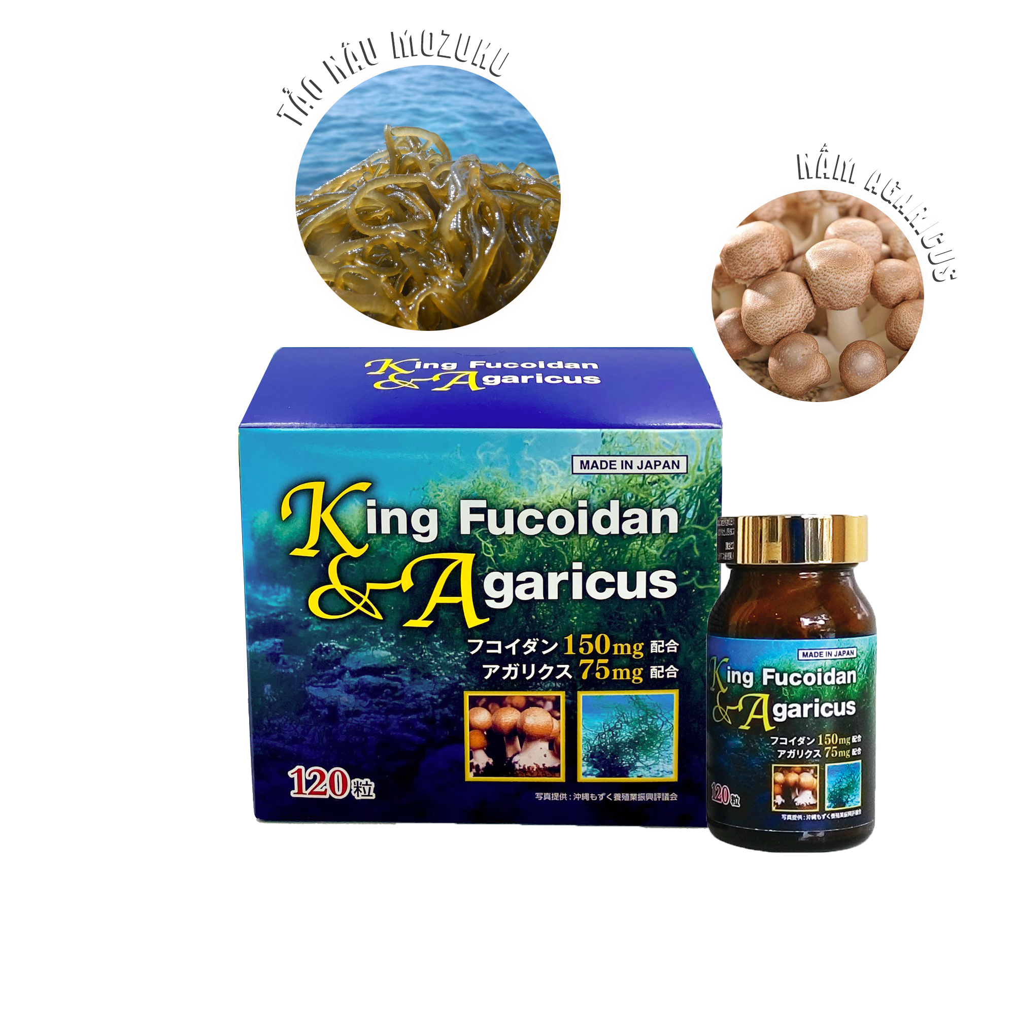 KING FUCOIDAN – HỖ TRỢ ĐIỀU TRỊ UNG THƯ, GIẢM TÁC DỤNG PHỤ HÓA, XẠ TRỊ |  Dược phẩm Cysina phân phối dược phẩm và thiết bị y tế