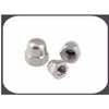 Hex Cap Nut/ Acorn Nut