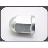 Hex Cap Nut/ Acorn Nut