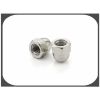 Hex Cap Nut/ Acorn Nut