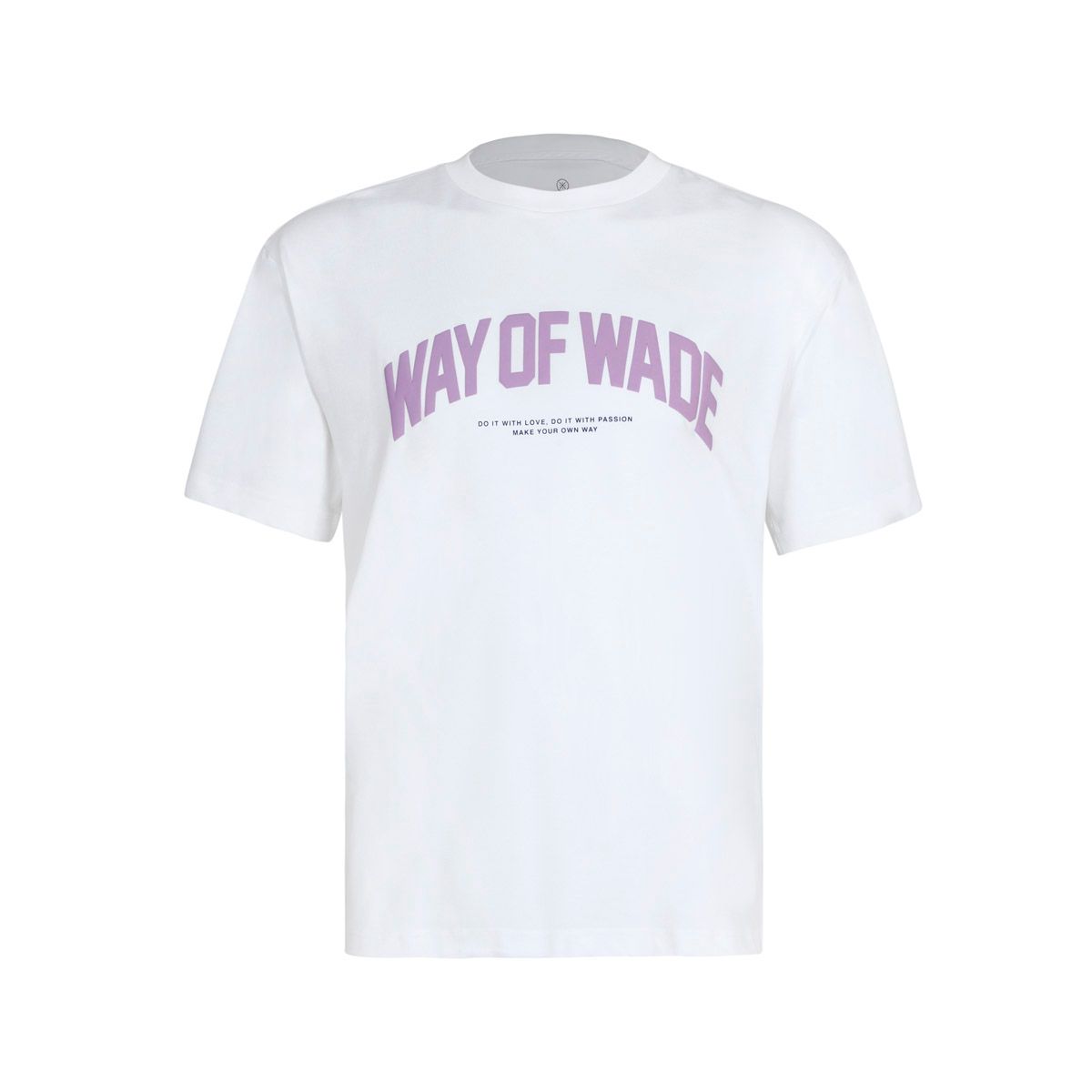 Áo T-shirt Li-Ning Nam AHSU173-2V