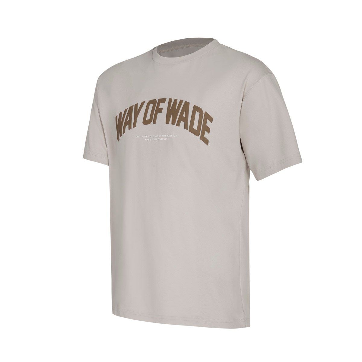 Áo T-shirt Li-Ning Nam AHSU173-6V