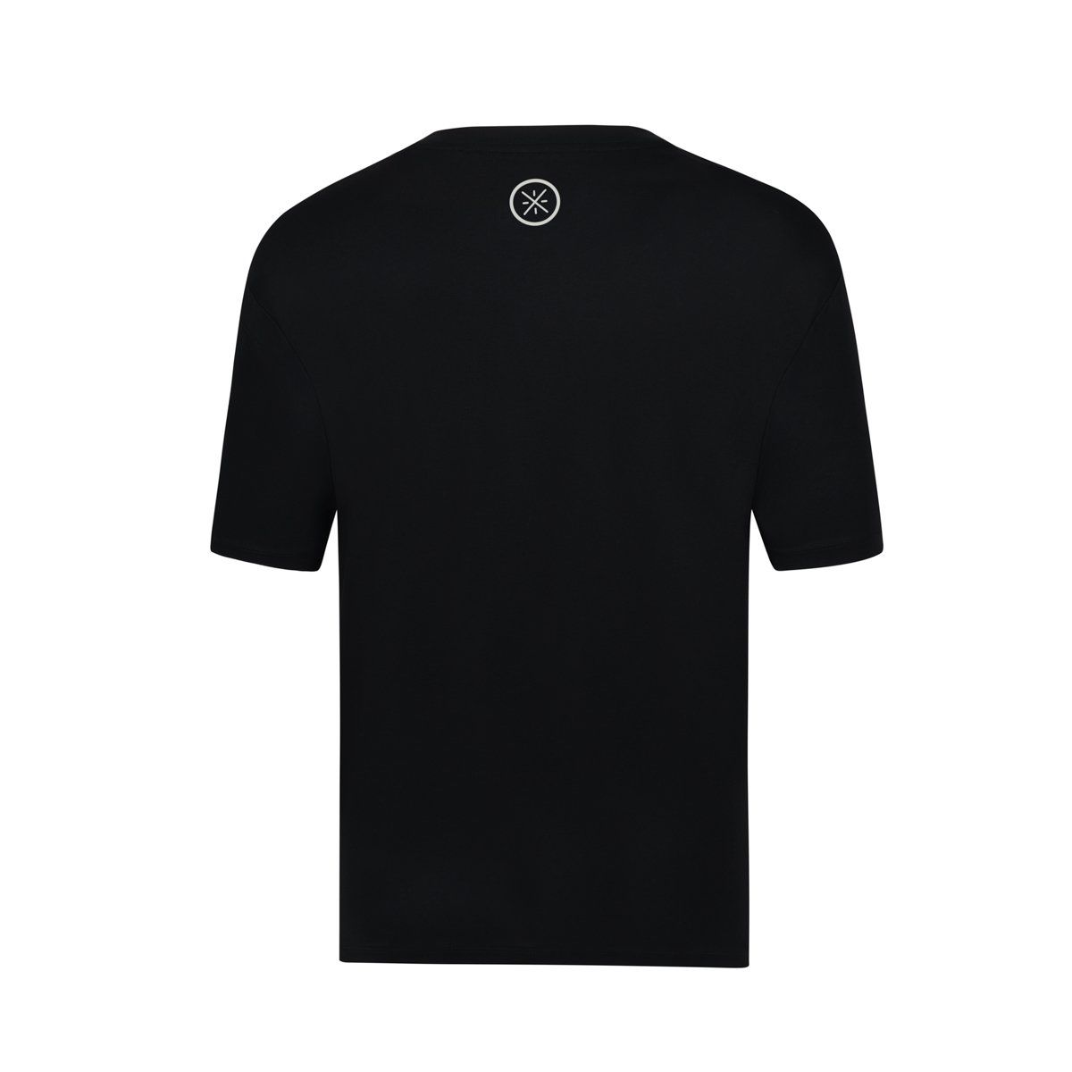 Áo T-shirt Nam AHSV015-1V