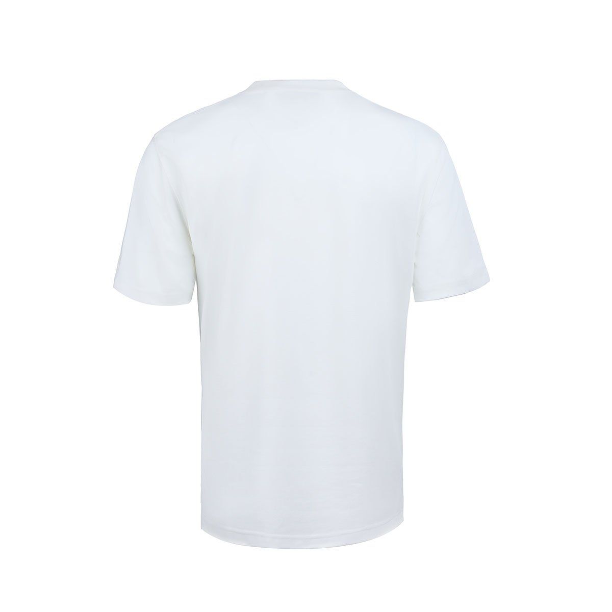 Áo T-shirt Li-Ning Nam AHSU543-1V