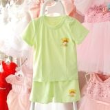  Đồ bộ đùi cho bé trai và bé gái họa tiết chất thun sợi tre mịn mát DK06 _ Beekids 