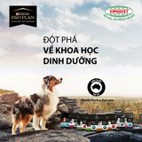 Thức ăn hạt Purina Pro Plan cho chó trưởng thành - Vóc trung bình (Medium Adult)