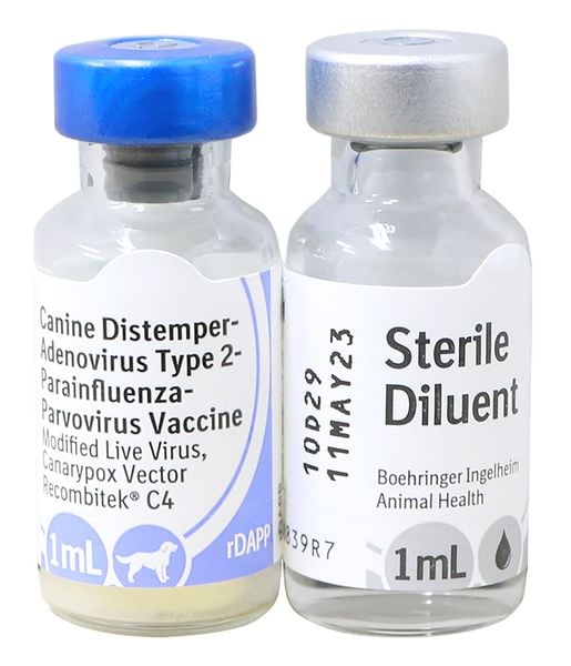 Vaccine Recombitek C4 (vaccine 5 bệnh cho chó) – viphapet