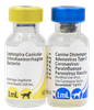  Vaccine Recombitek C6/CV (vaccine 7 bệnh cho chó) 
