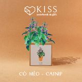  Bộ Trồng Cây Kiss The Ground 