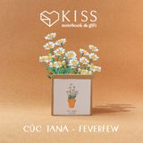  Bộ Trồng Cây Kiss The Ground 