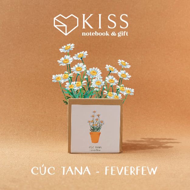  Bộ Trồng Cây Kiss The Ground 