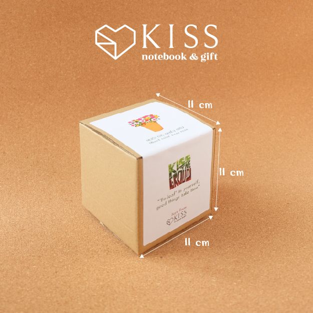  Bộ Trồng Cây Kiss The Ground 