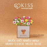  Bộ Trồng Cây Kiss The Ground 