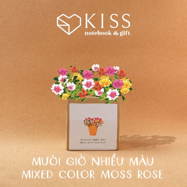  Bộ Trồng Cây Kiss The Ground 