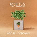  Bộ Trồng Cây Kiss The Ground 