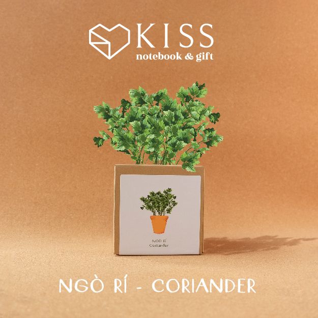  Bộ Trồng Cây Kiss The Ground 