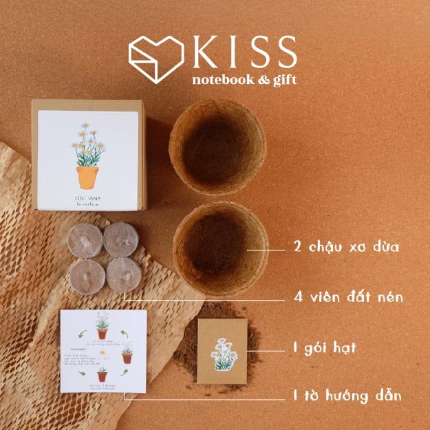  Bộ Trồng Cây Kiss The Ground 
