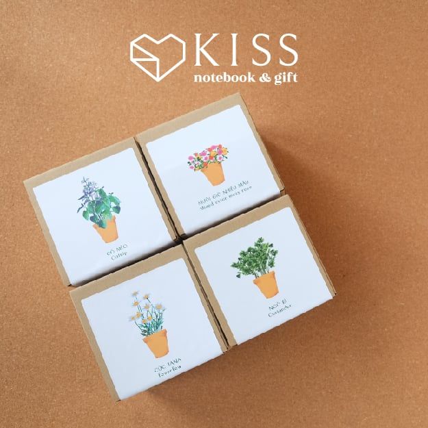  Bộ Trồng Cây Kiss The Ground 