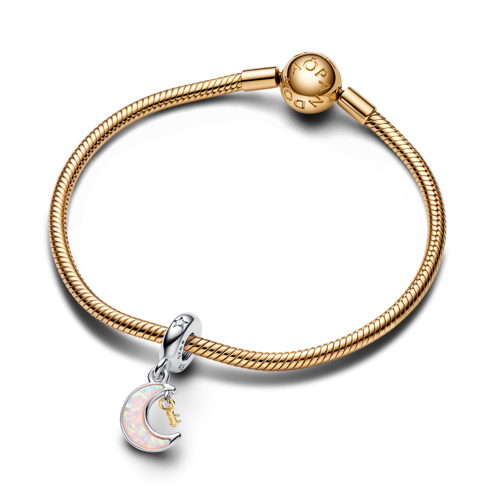 Pandora Moments Pandora Charms For Flat Bracelets Charm Pandora