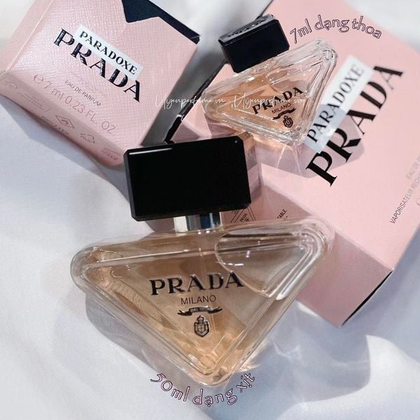  Paradoxe Women 