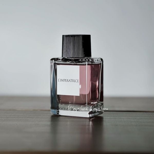  DG L’Imperatrice Limited 