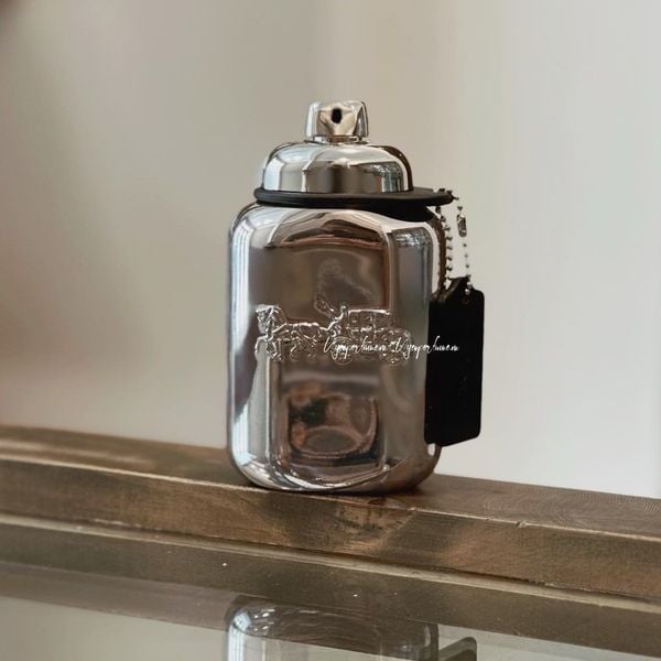  Coach Platinum For Men 